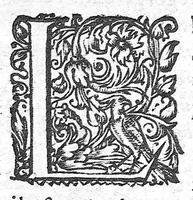 An illustration from Les Oeuvres anatomiques de M. Jean Riolan,... reveues et augmentées d'une cinquième partie en ceste édition... Le tout rangé, divisé, noté et mis en françois par M. Pierre Constant,... (1628)