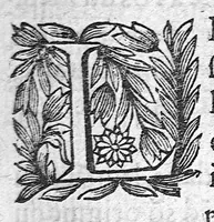 An illustration from Les Oeuvres anatomiques de M. Jean Riolan,... reveues et augmentées d'une cinquième partie en ceste édition... Le tout rangé, divisé, noté et mis en françois par M. Pierre Constant,... (1628)