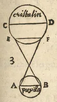 Picture 9 of 11 from De l'usage des parties du corps humain ; trad. du grec et du latin... (1659), leaf 506