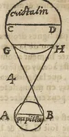 An illustration from De l'usage des parties du corps humain ; trad. du grec et du latin... (1659)