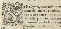 An illustration from Les Institutions chirurgiques (1629)