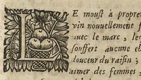 An illustration from L'Escole des medecins de Salerne, qui enseigne comme il faut sainnement & longuement Vivre....traduit du grec en francois & illustré des Commentaires de M. Michel le Long,... (1660)