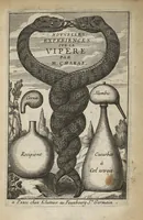 An illustration from Nouvelles expériences sur la vipere, ou l'on verra une description exacte de toutes ses parties, la source de son venin, ses divers effets, & les remedes exquis que les artistes peuvent tirer cu corps de cet animal... (1672)