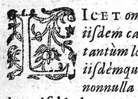 An illustration from Praxis medica cum theoria. Tomus secundus (1660)