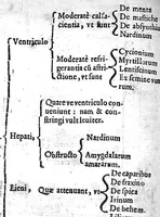 An illustration from Methodus curandorum omnium morborum... in tres libros distinctos (1609)