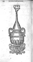 Picture 10 of 28 from Annotations...sur toute la chirurgie de M. Gui de Chauliac..suivie de Interprétation des langues...avec figures des instruments chirurgicaux..par Isaac Joubert (1632), leaf 391