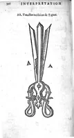 Picture 15 of 28 from Annotations...sur toute la chirurgie de M. Gui de Chauliac..suivie de Interprétation des langues...avec figures des instruments chirurgicaux..par Isaac Joubert (1632), leaf 397