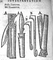 Picture 19 of 28 from Annotations...sur toute la chirurgie de M. Gui de Chauliac..suivie de Interprétation des langues...avec figures des instruments chirurgicaux..par Isaac Joubert (1632), leaf 407