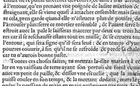 An illustration from Les secrets du S. Alexis Piemontois divisez en six livres. Ausquels avons adjoint autres secrets de nouveau adjoustez par iceluy, qu’aucuns ont appellé, le second volume : et les receptes de divers auteurs toutes bien experimentées, et approuvées. Lisez l’Advertissement : Page.3 (1559)