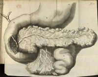 An illustration from Traitte de la nature et de l'usage du suc pancreatique ou plusieurs maladies sont expliquées, principalement les fievres intermittentes (1666)