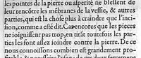 An illustration from Traité des Hernies contenant une ample declaration de toutes leurs especes, et autres excellentes parties de la Chirurgie,assavoir de la pierre, des cataractes des yeux, et autres maladies, desquelles comme la cure est perilleuse, aussi est elle de peu d’hommes bien exercée : Avec leurs causes, signes, accidens, anatomie des parties affectées, et leur entiere guarison : Par Pierre Franco de Turriers en Provence, demeurant à present à Orange (1561)