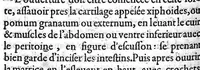 An illustration from Traité des Hernies contenant une ample declaration de toutes leurs especes, et autres excellentes parties de la Chirurgie,assavoir de la pierre, des cataractes des yeux, et autres maladies, desquelles comme la cure est perilleuse, aussi est elle de peu d’hommes bien exercée : Avec leurs causes, signes, accidens, anatomie des parties affectées, et leur entiere guarison : Par Pierre Franco de Turriers en Provence, demeurant à present à Orange (1561)