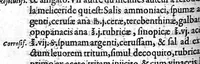 An illustration from Traité des Hernies contenant une ample declaration de toutes leurs especes, et autres excellentes parties de la Chirurgie,assavoir de la pierre, des cataractes des yeux, et autres maladies, desquelles comme la cure est perilleuse, aussi est elle de peu d’hommes bien exercée : Avec leurs causes, signes, accidens, anatomie des parties affectées, et leur entiere guarison : Par Pierre Franco de Turriers en Provence, demeurant à present à Orange (1561)