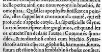 An illustration from Traité des Hernies contenant une ample declaration de toutes leurs especes, et autres excellentes parties de la Chirurgie,assavoir de la pierre, des cataractes des yeux, et autres maladies, desquelles comme la cure est perilleuse, aussi est elle de peu d’hommes bien exercée : Avec leurs causes, signes, accidens, anatomie des parties affectées, et leur entiere guarison : Par Pierre Franco de Turriers en Provence, demeurant à present à Orange (1561)