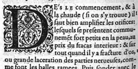 An illustration from Traitté des arcbusades, divisé en trois parties, avec plusieurs autres traittés concernans ceste matiere, desquels le catalogue est en la 16. page suyvante. Par M. Laurens Joubert, Medecin ordinaire du Roy, et du Roy de Navarre, premier Docteur regent, Chancelier et Juge de l’Université en medecine de Montpellier. Tierce edition, sur l’exemplaire de l’auteur, reveu, corrigé et augmenté presque d’un tiers (1581)