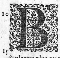 An illustration from Traitté des arcbusades, divisé en trois parties, avec plusieurs autres traittés concernans ceste matiere, desquels le catalogue est en la 16. page suyvante. Par M. Laurens Joubert, Medecin ordinaire du Roy, et du Roy de Navarre, premier Docteur regent, Chancelier et Juge de l’Université en medecine de Montpellier. Tierce edition, sur l’exemplaire de l’auteur, reveu, corrigé et augmenté presque d’un tiers (1581)