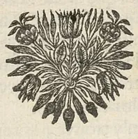 An illustration from La Recherche de la vérité dans la médecine et les découvertes qui en ont été faites par diverses expériences et observations nouvelles, contenant 6 traités où l'on fait voir les abus et les erreurs quis'y sont introduites avec les moyens de s'en défendre et pour découvrir la vérité de cette science... (1697)