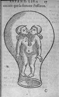 An illustration from Des divers travaulx et enfantemens des femmes. Et par quel moyen lon doibt survenir aux accidens qui peuvent eschoir devant et apres iceux travaulx, devisé en deux petiz livres. Premierement composez en Latin, par maistre Euchaire Rodion, Docteur en Medecine, et depuis tournez en nostre langue Françoyse, et augmentez de Annotations, par M. Paul Bienassis de Poictiers, à l’utilité de plusieurs personnes. Avec Indice des choses memorables contenues en ce present livre, mises par chapitres en la fin d’icelluy (1563)