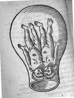 An illustration from Des divers travaulx et enfantemens des femmes. Et par quel moyen lon doibt survenir aux accidens qui peuvent eschoir devant et apres iceux travaulx, devisé en deux petiz livres. Premierement composez en Latin, par maistre Euchaire Rodion, Docteur en Medecine, et depuis tournez en nostre langue Françoyse, et augmentez de Annotations, par M. Paul Bienassis de Poictiers, à l’utilité de plusieurs personnes. Avec Indice des choses memorables contenues en ce present livre, mises par chapitres en la fin d’icelluy (1563)