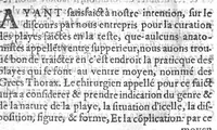 An illustration from Officinne et jardin de chirurgie militaire contenant les instrumentz et plantes tres necessaires a tous Chi[r]urgiens...avec certains cathalogues des ingrediens propres à chacun membre tant similaires qu’organiques. Dedié à haut et puissant seigneur M. François Gouffier, sieur de Crevecoeur Chevalier des deux ordres du Roy. Plus un traicté des contrepoisons et cure de la Peste et declaration d’un Enigme le tout experimenté et mis en lumiere pour l’utilité du public. Par Esaïe le Lievre Chirurgien, (1583)