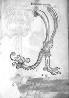 An illustration from Officinne et jardin de chirurgie militaire contenant les instrumentz et plantes tres necessaires a tous Chi[r]urgiens...avec certains cathalogues des ingrediens propres à chacun membre tant similaires qu’organiques. Dedié à haut et puissant seigneur M. François Gouffier, sieur de Crevecoeur Chevalier des deux ordres du Roy. Plus un traicté des contrepoisons et cure de la Peste et declaration d’un Enigme le tout experimenté et mis en lumiere pour l’utilité du public. Par Esaïe le Lievre Chirurgien, (1583)