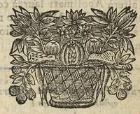 An illustration from Factum pour maistre Nicolas Postel...contre Maistres Mathieu Maheult, Jean Baptiste Calart...ou dissertation sur les peripneumonies d'Hyver,... (1685)