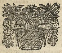 An illustration from Factum pour maistre Nicolas Postel...contre Maistres Mathieu Maheult, Jean Baptiste Calart...ou dissertation sur les peripneumonies d'Hyver,... (1685)