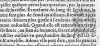 An illustration from La premiere et seconde partie des erreurs populaires, touchant la Medecine et le regime de santé. Par M. Laurent Joubert, Conseiller et Medecin ordinaire du Roy, et du Roy de Navarre, premier Docteur Regent, Chancelier et juge de l’université en Medecine de Montpellier. Avec plusieurs autres petits traictez, lesquels sont specifiez en la page suyvante, (1587)