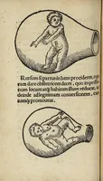 Picture 5 of 14 from De partu hominis, et quae circa ipsum accidunt. Libellus D. Eucharii Rhodionis (1532), leaf 57