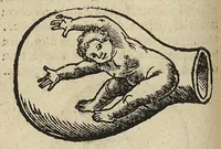 Picture 8 of 14 from De partu hominis, et quae circa ipsum accidunt. Libellus D. Eucharii Rhodionis (1532), leaf 61