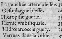 Picture 6 of 20 from Observations medicinales et chirurgicales, avec histoires, noms, pays, saisons & temoignages (1617), leaf 18