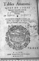 An illustration from Tables anatomiques du corps humain universel : soit de l’Homme, ou de la Femme. Premierement composees en Latin, par maistre Loys Vassee : Et depuis traduites par Jean Canappe (1547)