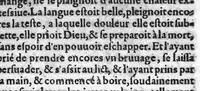 An illustration from Histoire notable de la rage des loups, advenue l'an MDXC, avec les remedes pour empescher la rage, qui survient après la morsure des Loups, Chiens et autres bestes enragees. Le tout mis en lumiere par Jean Bauhind, Medecin de Tres-illustre Prince, Monsieur Friderich, Conte de Vvirtemberg, Mont. etc., (1591)