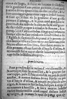 An illustration from Bastiment de receptes, traduit de l'italien en françois, augmenté d'une infinité de beaux secrets depuis peu mis en usage, avec un autre petit traité de recepte intitulé le plaisant jardin, (1645)