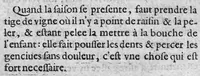 An illustration from La fleur des remèdes contre le mal des dents. Avec les remèdes pour faire percer les dents aux petits enfants (1622)