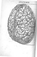 An illustration from La Methode Curative des Playes et Fracture de la teste humaine. Avec les pourtraits des Instruments necessaires pour la curation d’icelles. Par M. Ambroise Paré Chirurgien ordinaire du Roy, et Juré à Paris, (1561)
