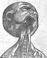 An illustration from La Methode Curative des Playes et Fracture de la teste humaine. Avec les pourtraits des Instruments necessaires pour la curation d’icelles. Par M. Ambroise Paré Chirurgien ordinaire du Roy, et Juré à Paris, (1561)