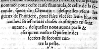 An illustration from Remedes certains et bien epprouvez contre la peste... (1628)