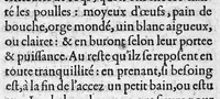 An illustration from Raison de vivre pour toutes fievres, cognues premierement par leurs differences, causes, signes, et symptomes, avec les prognostiques d’icelles. Par maistre Jean Lyege medecin. En fin sont briefvement et familierement exposees plusieurs et diverses sentences touchant la nature et prediction des fievres, (1557)