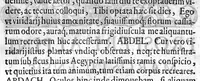 An illustration from De balsamo dialogus (1591)