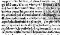 An illustration from Prattica nuova, et utilissima di tutto quello, ch' al diligente barbiero s'appartiene... ove si discorre del cavar sangue, medicar, ferite, et balsamar corpi humani... (1671)