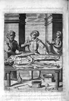 An illustration from Prattica nuova, et utilissima di tutto quello, ch' al diligente barbiero s'appartiene... ove si discorre del cavar sangue, medicar, ferite, et balsamar corpi humani... (1671)