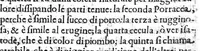 An illustration from Prattica nuova, et utilissima di tutto quello, ch' al diligente barbiero s'appartiene... ove si discorre del cavar sangue, medicar, ferite, et balsamar corpi humani... (1671)