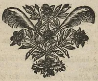 An illustration from Le barbier medecin, ou les fleurs d'Hypocrate. Dans lequel la chirurgie a pris la queuë du serpent...par I.M.D.V.C.A.P. (1672)