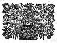 An illustration from Les rudimens de la philosophie naturelle touchant le système du corps mixte. Tome deuxième (1665)