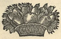 An illustration from Les vertus magnetiques du sang, de son usage interne & externe. Pour la guarison des maladies (1664)