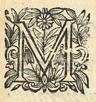 An illustration from Les vertus magnetiques du sang, de son usage interne & externe. Pour la guarison des maladies (1664)