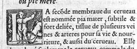 An illustration from Briefve collection de l'administration anatomique... (1549)