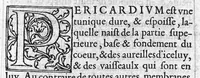 An illustration from Briefve collection de l'administration anatomique... (1549)