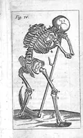 An illustration from The Manuall of the anatomy or dissection of the Body of man (1650)